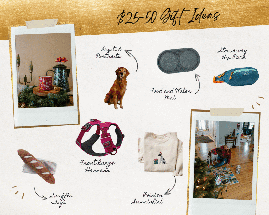 Gift Guide for Dog Lovers: $25-$50 Gifts