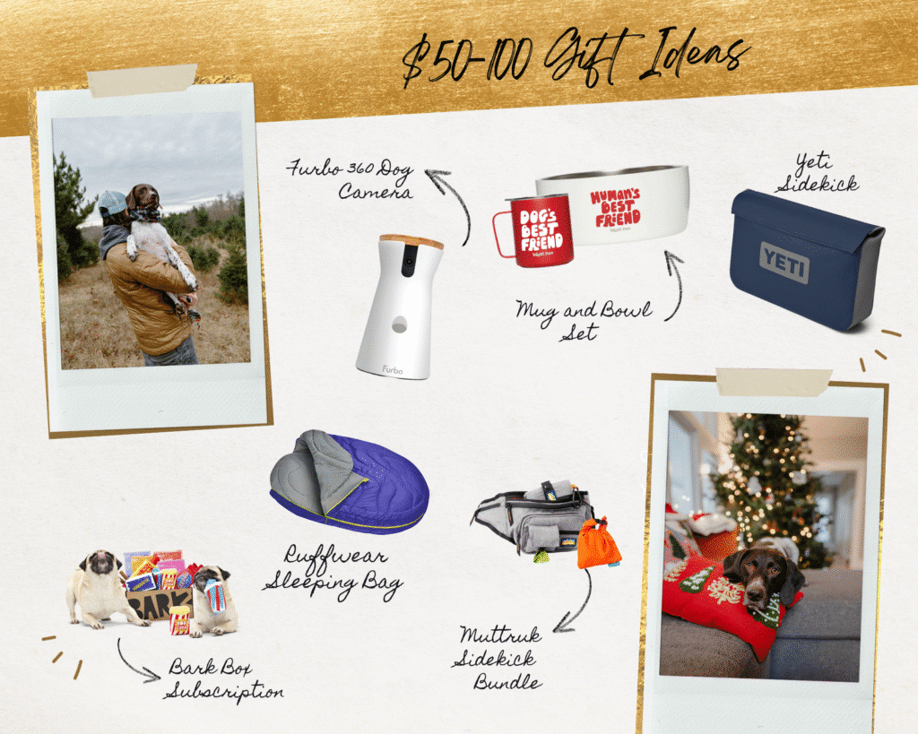 Gift Guide for Dog Lovers: $50-$100 Gifts