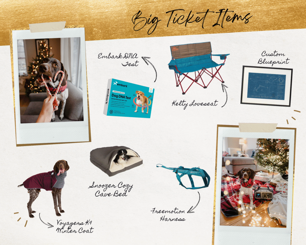 Gift Guide for Dog Lovers: Big Ticket Items